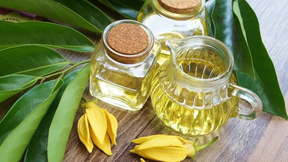 Ylang Ylang Yağı Nedir? Faydaları Nelerdir?